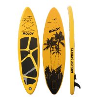 Wholesale Summer Standup Paddle Board Holiday Gifts