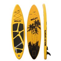 Venta al por mayor Regalos de vacaciones de verano Standup Paddle Board